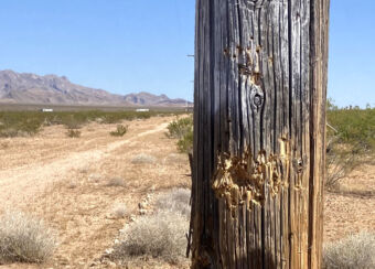 One of three wooden power poles that were severely damaged by gun fire on the eastern side of Mormon Mesa. The damage weakened one of the poles enough to cause it to topple over in a wind storm last week. 